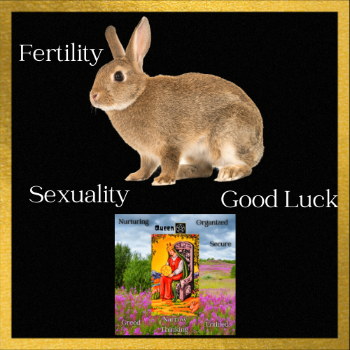 bunny in tarot, tarot bunny meaning, bunny meaning, meaning of bunny in tarot, bunny tarot flashcard, tarot cheat sheet