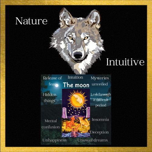 wolf in tarot, tarot wolf meaning, wolf meaning, meaning of wolf in tarot, wolf tarot flashcard, tarot cheat sheet